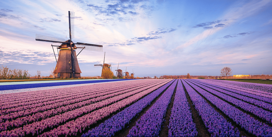 Kasyna online w Holandii